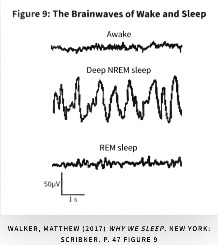 Rem Sleep Meaning In English