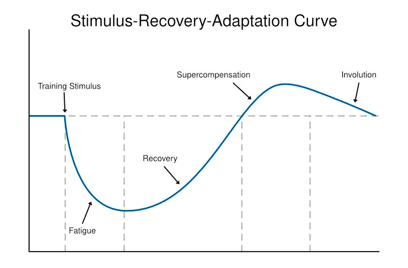 Ultimate Guide for Athletes: Sleep & Exercise, Training, and Recovery